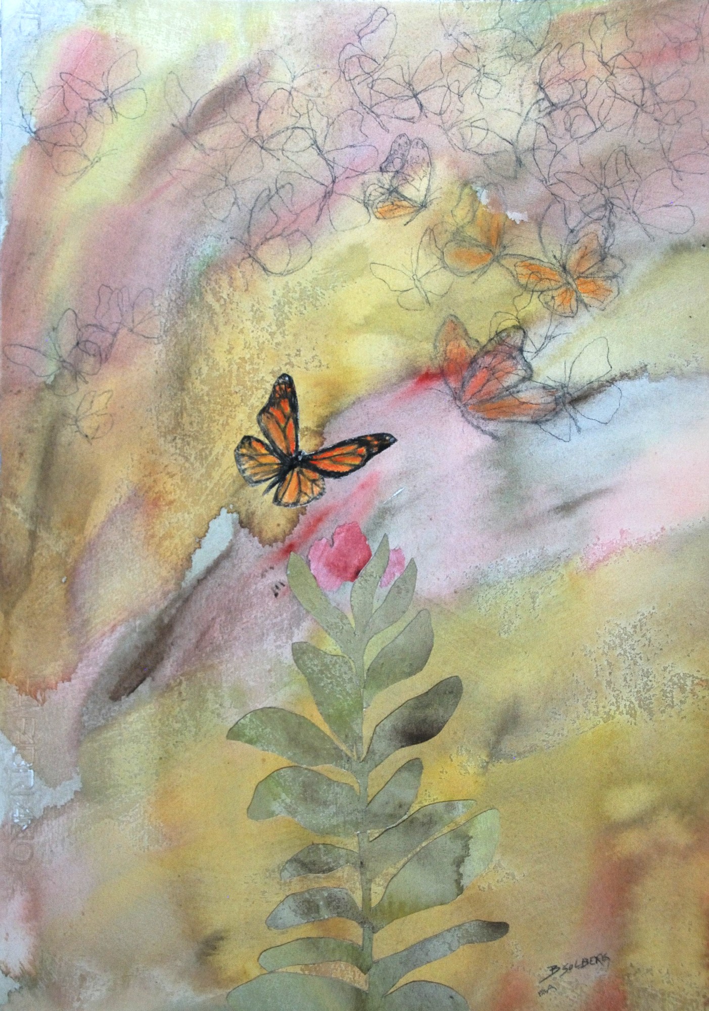 Barbara Solberg - The Last Monarch