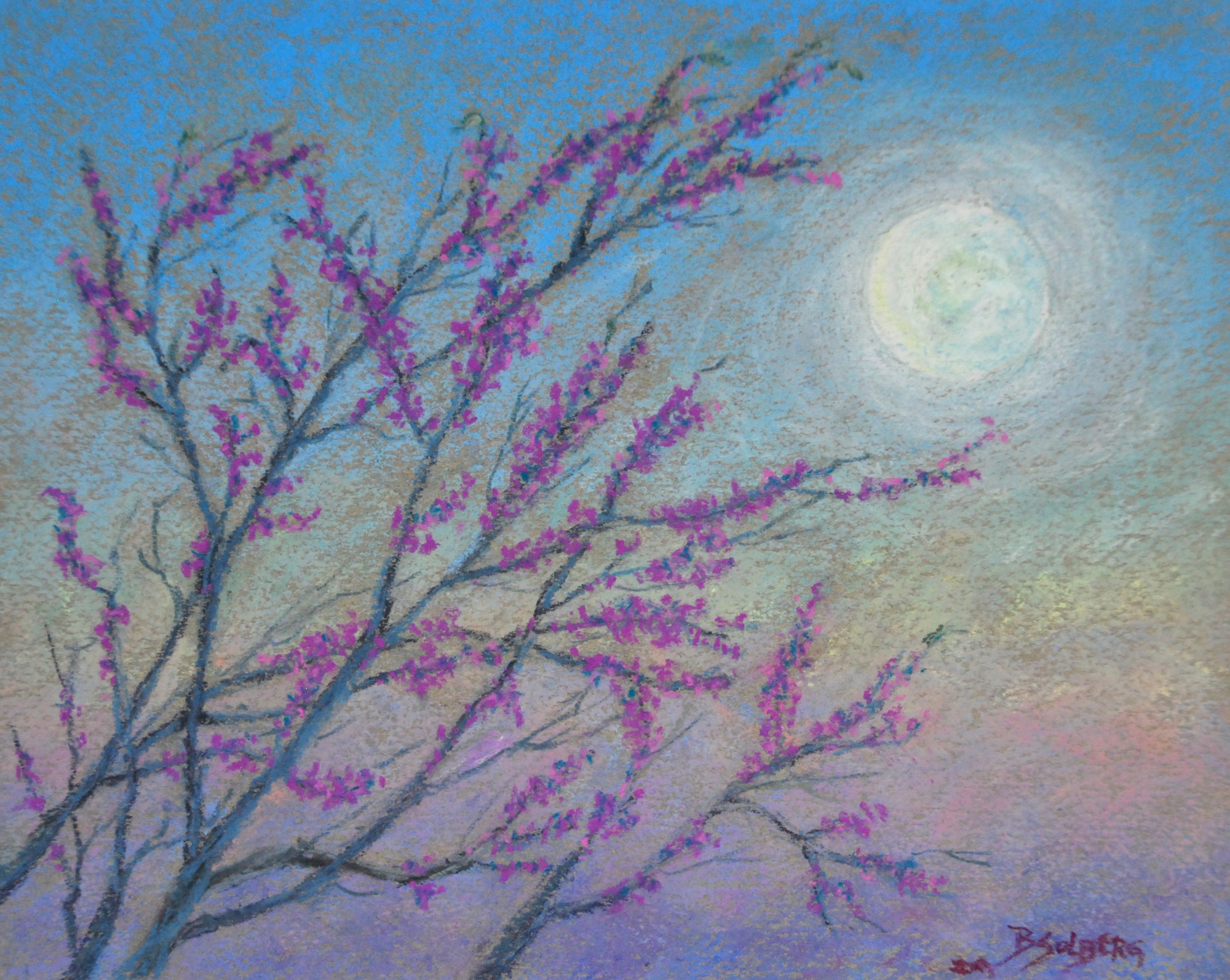 Barbara Solberg - Full Pink Moon